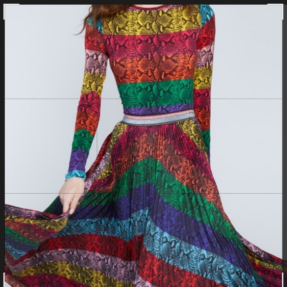 Alice + Olivia Multicolor Snake Print Set